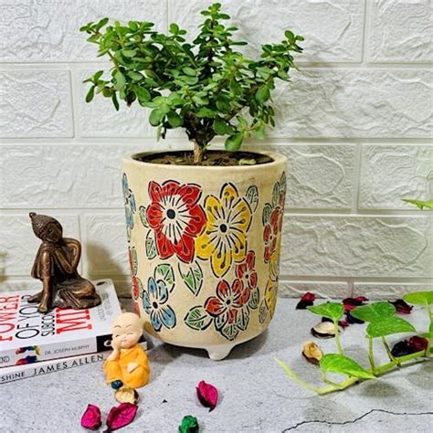 Homefrills Stylish Multicolour Flower Print Matte Finish Ceramic ...