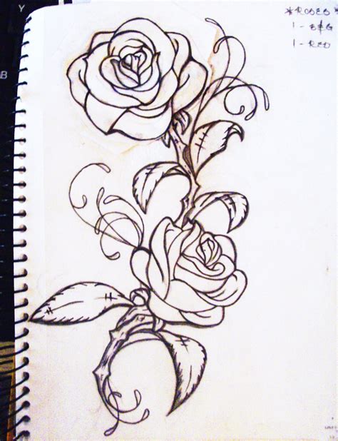 Rose Vine Drawing at PaintingValley.com | Explore collection of Rose ...