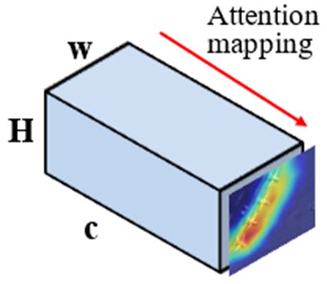 Deep Discriminative Representation Learning with Attention Map for ...