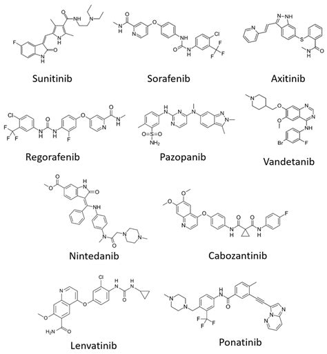 Structural Basis for Vascular Endothelial Growth Factor Receptor ...