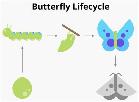 Stages of the Activity lifecycle | Android Developers