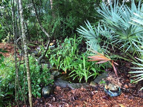 About — Florida Native Plants Nursery & Landscaping