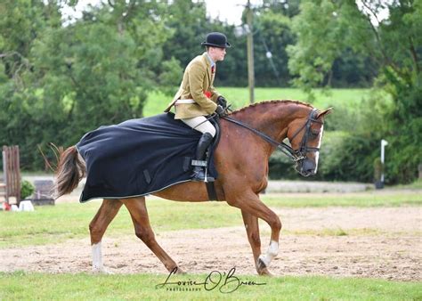 Wicklow Summer Show 2025, Barnadown Showjumping, Gorey, 13 July 2025 ...