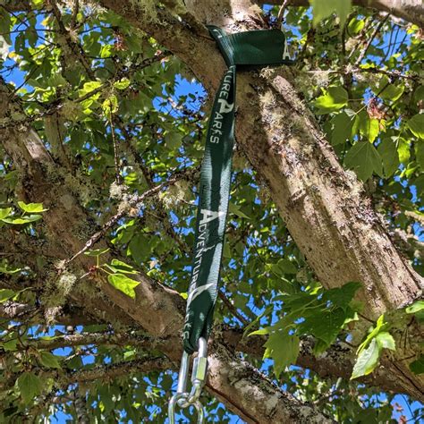 How to Hang a Swing From a Tree With Chain, Straps, or Rope ...