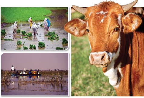 Democratised route to curbing emissions