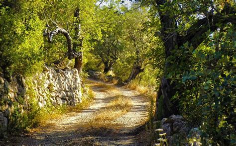 COUNTRYSIDE PONY ALGARVE - All You Need to Know BEFORE You Go 2026 ...