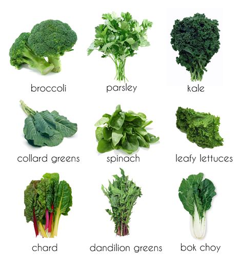 Leafy Green Examples at Reynaldo Leahy blog