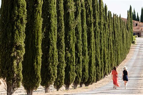 Turkey Isabella Local People Do for Fun 的图像结果