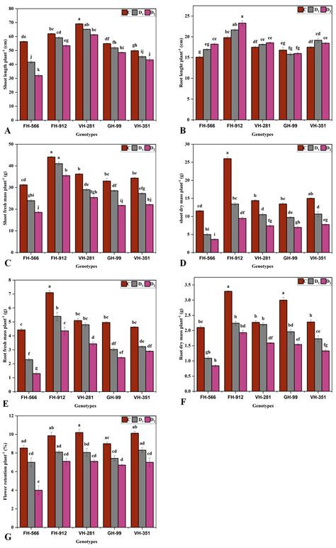 Unveiling Drought Tolerant Cotton Genotypes: Insights from Morpho ...