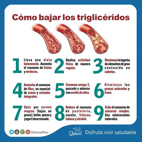 9 cosas que debes hacer para bajar los triglicéridos - Alimentación ...