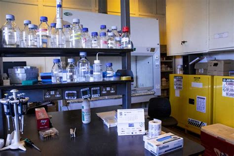Scientists in Kenya warn toxin in corn could increase the risk of ...