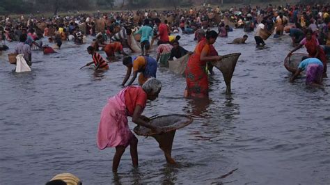 Tamil Nadu: Villagers participate in fishing festival in Madurai ...