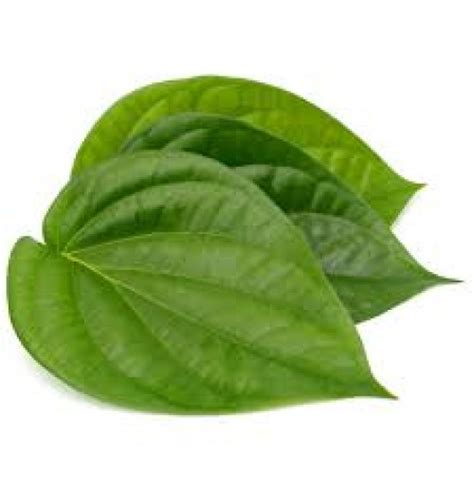 Betel Leaf (Pack of 30)