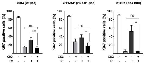 Concurrent Activation of Both Survival-Promoting and Death-Inducing ...