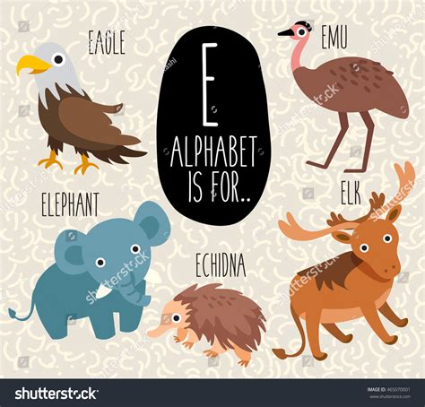 Animals With E