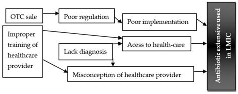 RETRACTED: Empowering Low- and Middle-Income Countries to Combat AMR by ...