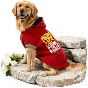 Wow Dog Fleece Winter Hoodie Jacket 16 Inch (Medium) | Soft, Warm Dog ...