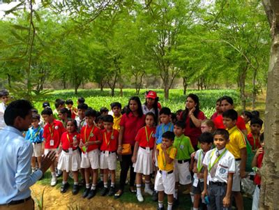 SDG Initiatives | Amity University