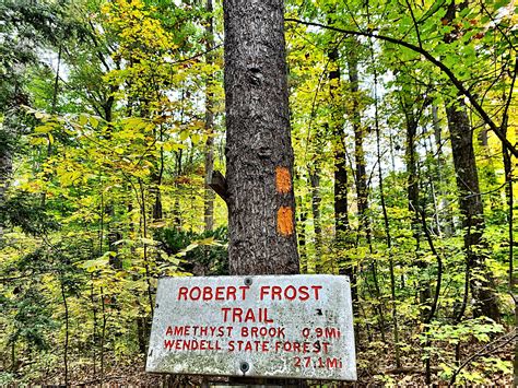 HAMPSHIRE ATHLETIC CLUB - Amherst MA - Hours, Directions, Reviews ...