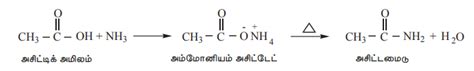 கார்பாக்சிலிக் அமிலங்களின் வேதிப் பண்புகள் | Chemical properties of ...