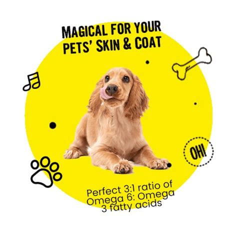 Bark Out Loud Skin & Coat Hemp Chew Stix for Dogs and Cats – Firstpetkart