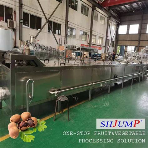 https://www.shjumpmachine.com/uploads/202235713/tamarind-puree-processing-line57458320363.jpg