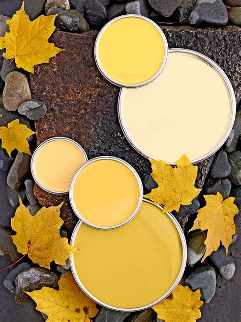 Yellow Paint Sample Colors 16 Yellow Paint Colors Interior Designers