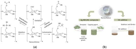 Use of Nanocellulose to Produce Water-Based Conductive Inks with Ag NPs ...