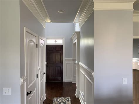 Sherwin Williams Reflection Paint Paint Color Review: Sherwin Williams