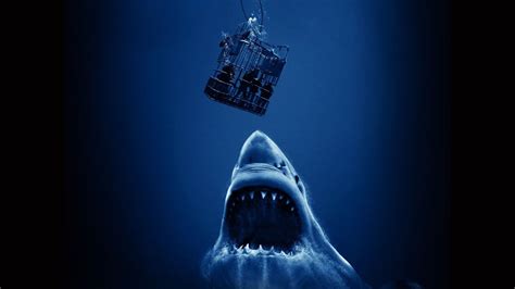 Open Water 3: Cage Dive | Where to Stream & Watch Online?