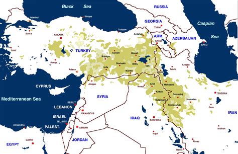 The dangers of homogenous entities: the Kurdish case – Aspenia Online