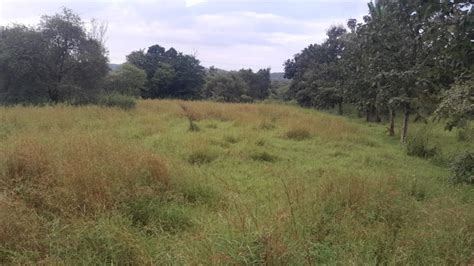 Agricultural/Farm Land for Sale in Murbad, Thane - by Shree Swami ...