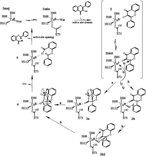 Anaerobic enzyme⋅substrate structures provide insight into the reaction mechanism of the copper ...