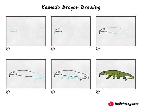 Komodo Dragon Drawing Step Step How To Draw A Komodo Dragon (Reptiles)