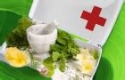 Домашняя травяная аптечка: обязательный состав