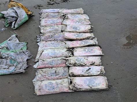 Gujarat: BSF recovers 20 packets of suspected drugs near Jakhau coast
