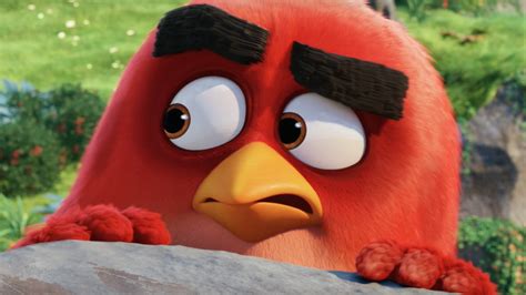 New Angry Birds movie trailer is a kick