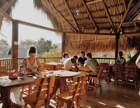 EL ZOO HOSTEL & POOL (Palomino) - Hostel Reviews, Photos, Rate ...