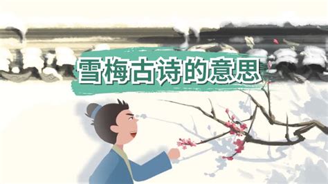 雪梅的诗意 - 匠子生活