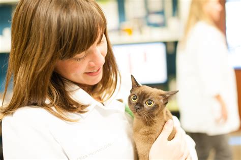 Veterinary Careers In Denver, CO - Goodheart Animal Health Center ...