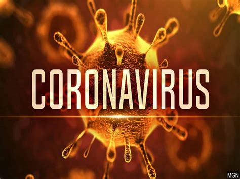 Union Government sets up task force to restrict Novel Coronavirus