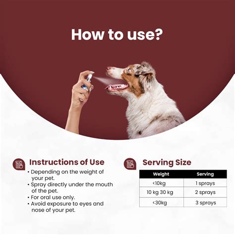 Vetonnix Multivitamin Oral Nutritional Spray for Dogs & Cats | Support ...