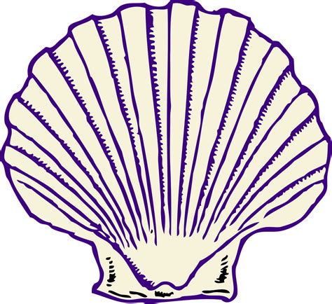 Purple Sea Shell Clip Art