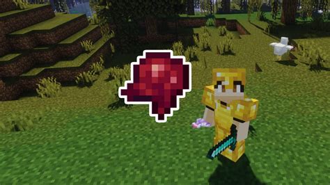 Minecraft Spider Eye