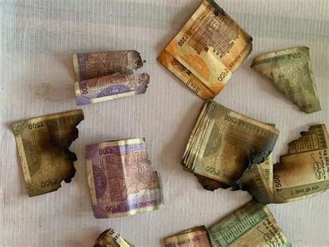 Reserve Bank exchanges half-burnt currency notes of Agariya in desert ...