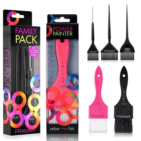 Buy FRAMAR Power Painter Hair Dye Brush - Hair Coloring Brush, Hair ...