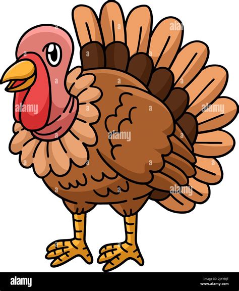 Turkey Feather Colors Cartoon
