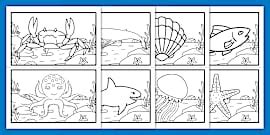 What is an Ocean? | Definition, History, Ocean Maps, Habitat