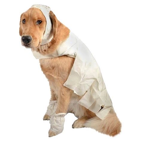 Mummy Dog Pet Halloween Costume Small by Target : Amazon.in: Pet Supplies