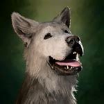 Creatures in Baldur's Gate 3 - bg3.wiki